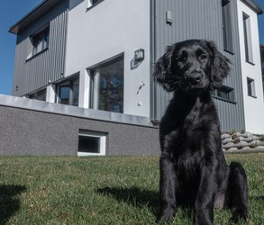 2020-03-02 (5 von 5).JPG