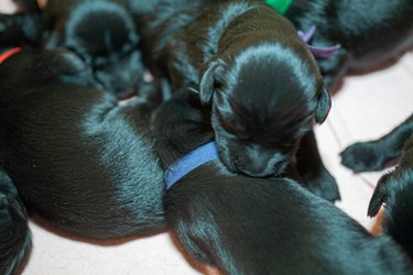 2019-Pola-Buch (2 von 164).JPG