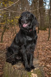 2019-Pola-Buch (64 von 164).JPG